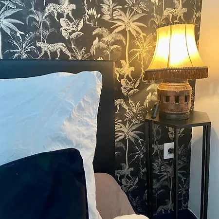 Le Manoir Des Reves: Serene Comfort Near Clinique D'europe Apartment *